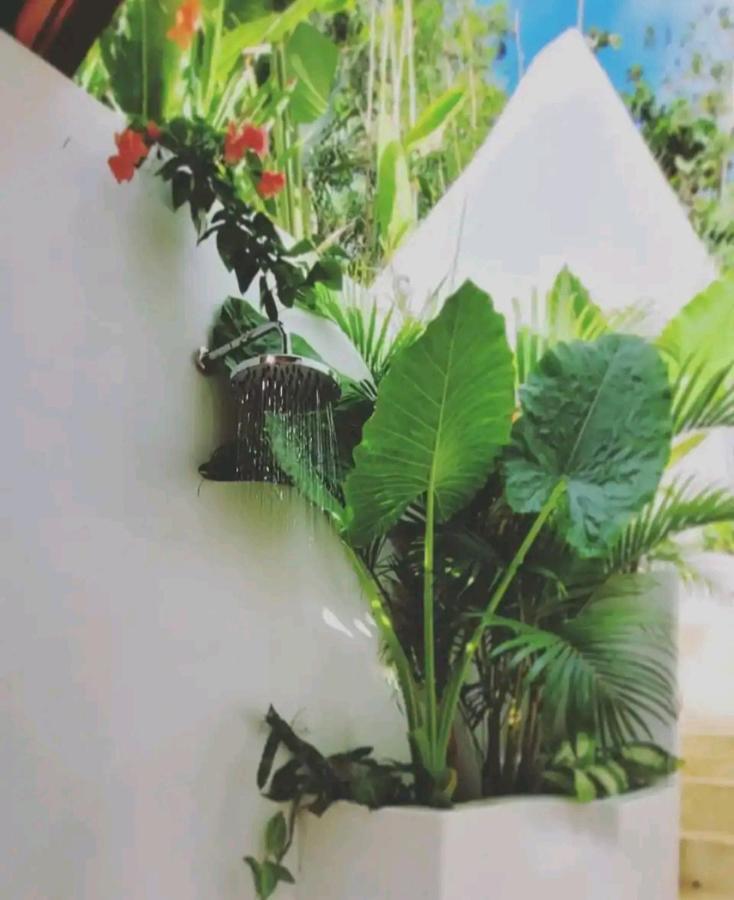 Nest Uluwatu - Eco Boutique Villa Kültér fotó