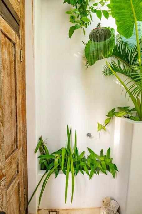 Nest Uluwatu - Eco Boutique Villa Kültér fotó