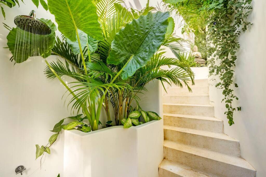 Nest Uluwatu - Eco Boutique Villa Kültér fotó